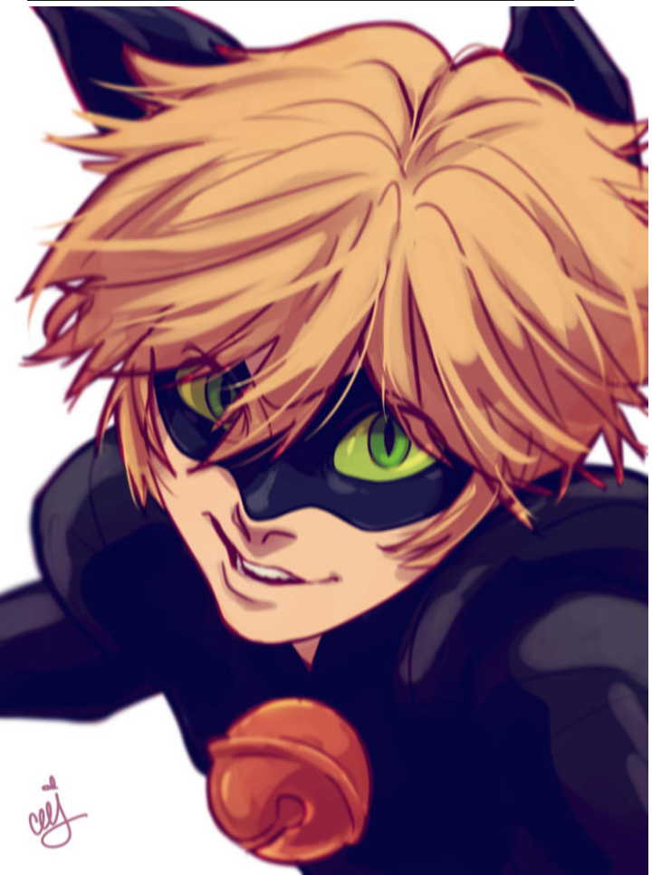 miraculous ladybug
瓢虫少女,cat noir
what color is this cat