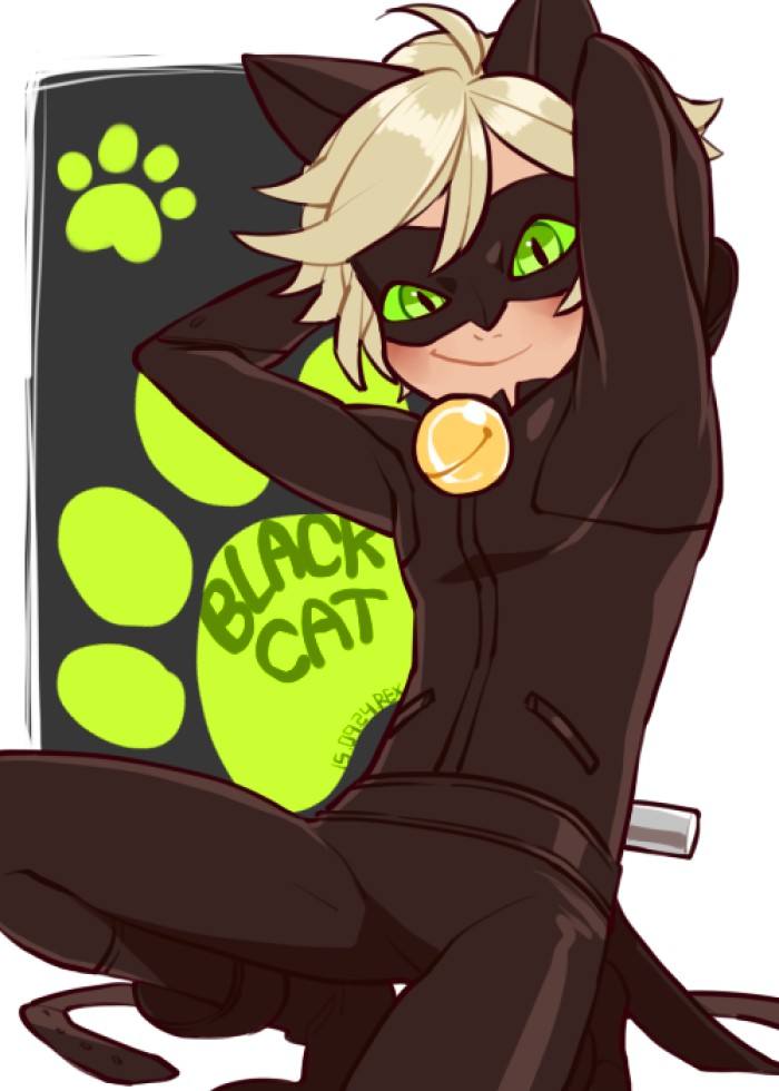 miraculous ladybug
cat noir,别忘了和上面那张是一对的