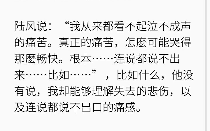 
陆风说：“我从来都看不起泣不成声的痛苦。真正的痛苦，怎麽可能哭得那麽畅快。根本……连说都说不出来……比如……” ，比如什么，他没有说，我却能够理解失去的悲伤，以及连说都说不出口的痛感。