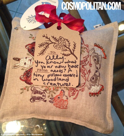 Taylor Swift care package included a tiny pillow adorned w/ woodland creatures