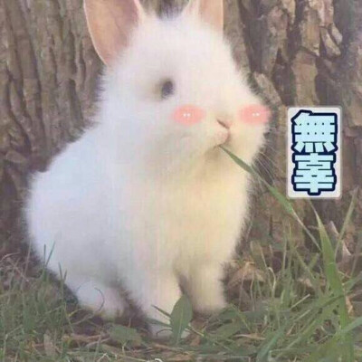 希望你 满眼都是我(⁎⁍̴̛ᴗ⁍̴̛⁎)