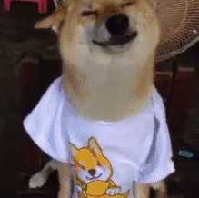 希望你 满眼都是我(⁎⁍̴̛ᴗ⁍̴̛⁎)
