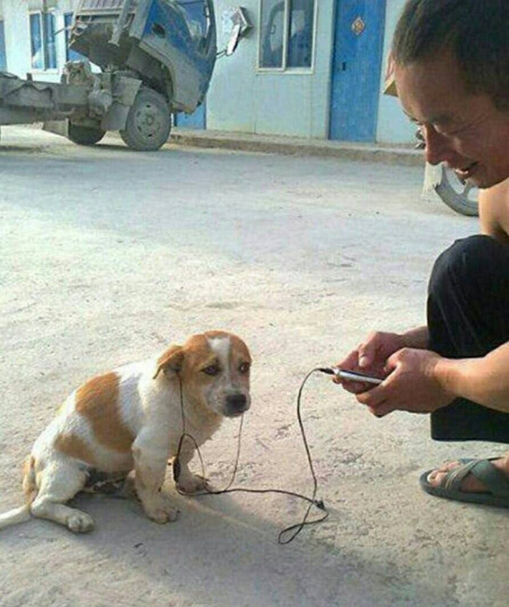 希望你 满眼都是我(⁎⁍̴̛ᴗ⁍̴̛⁎)