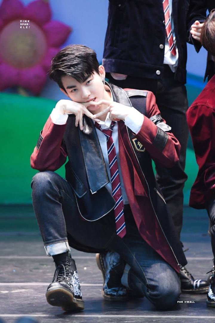 许贤俊 HWALL 小花