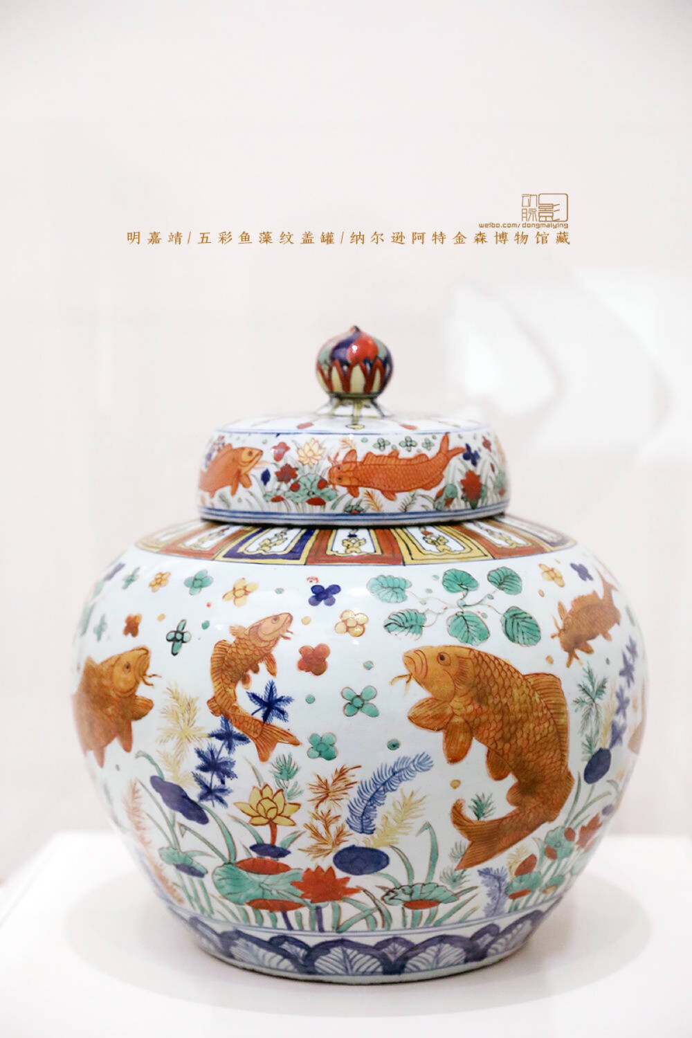 美国堪萨斯城 纳尔逊阿特金森博物馆 明嘉靖 五彩鱼藻纹盖罐 同款前几