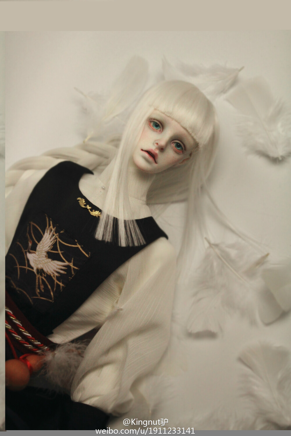 #dzdoll-莫离#