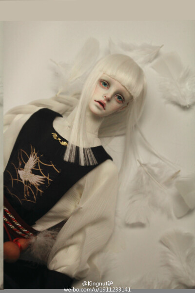 #dzdoll-莫离#