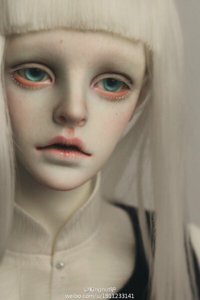 #dzdoll-莫离#