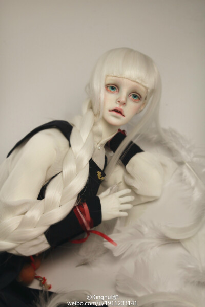 #dzdoll-莫离#
