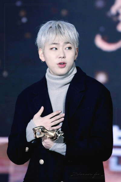 Zico 禹智皓 Block B