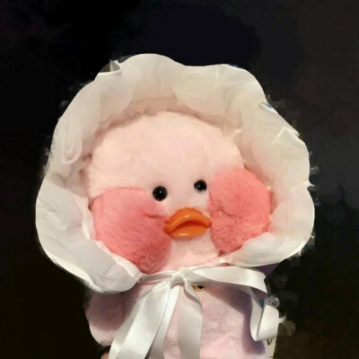 一生一世一双人♡