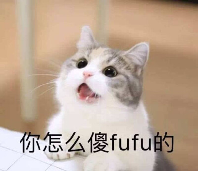 希望你 满眼都是我(⁎⁍̴̛ᴗ⁍̴̛⁎)