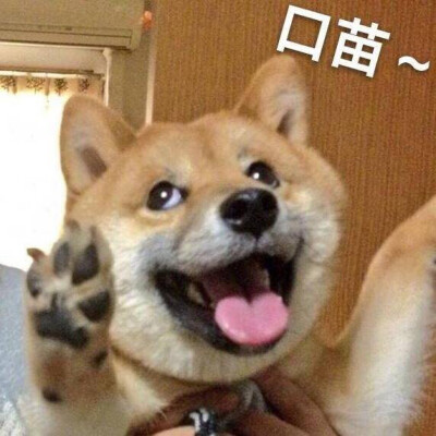 希望你 满眼都是我(⁎⁍̴̛ᴗ⁍̴̛⁎)