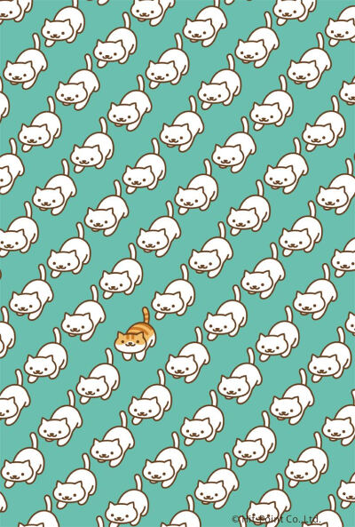 猫咪收集 壁纸 可爱 日系 软萌