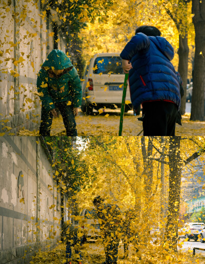 满城尽带黄金甲