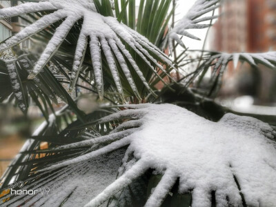 初冬天小雪