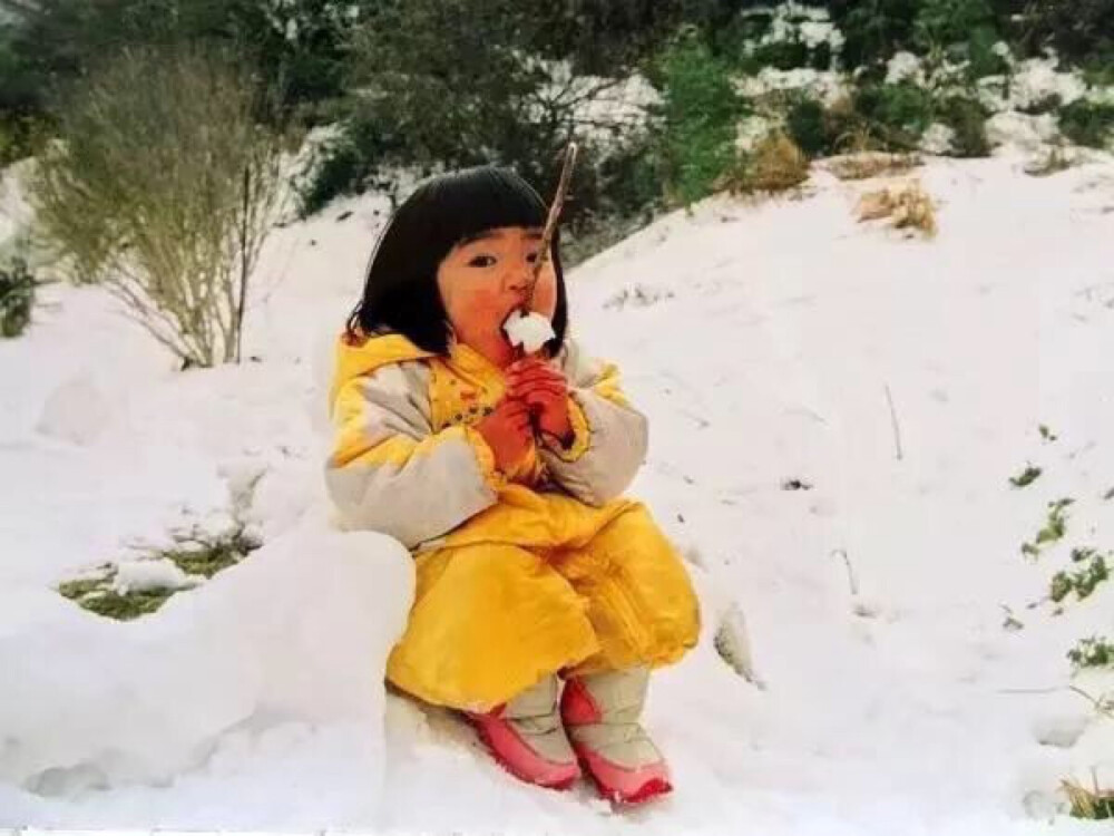 川岛小鸟|未来酱