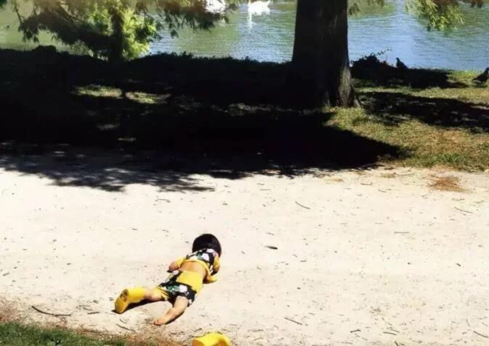 川岛小鸟|未来酱