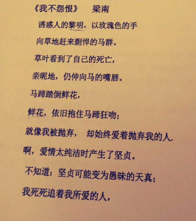 我不怨恨