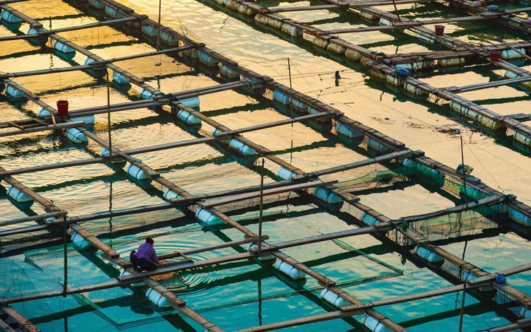 有时候，有序也是一种美