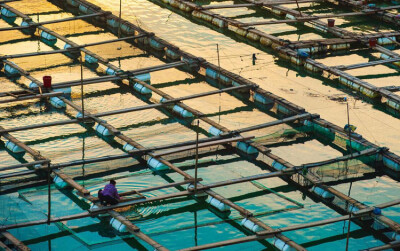 有时候，有序也是一种美