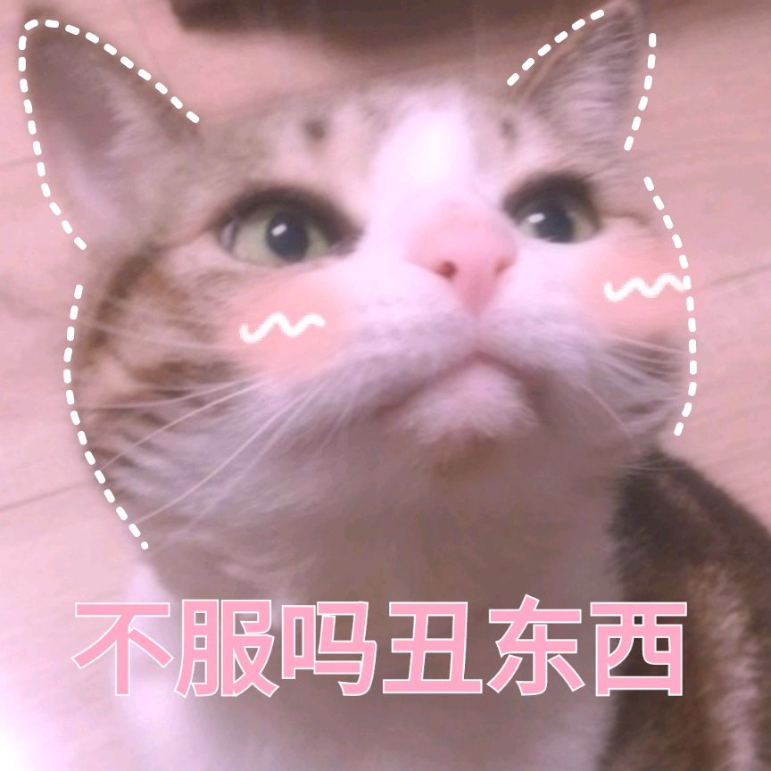 猫表情包