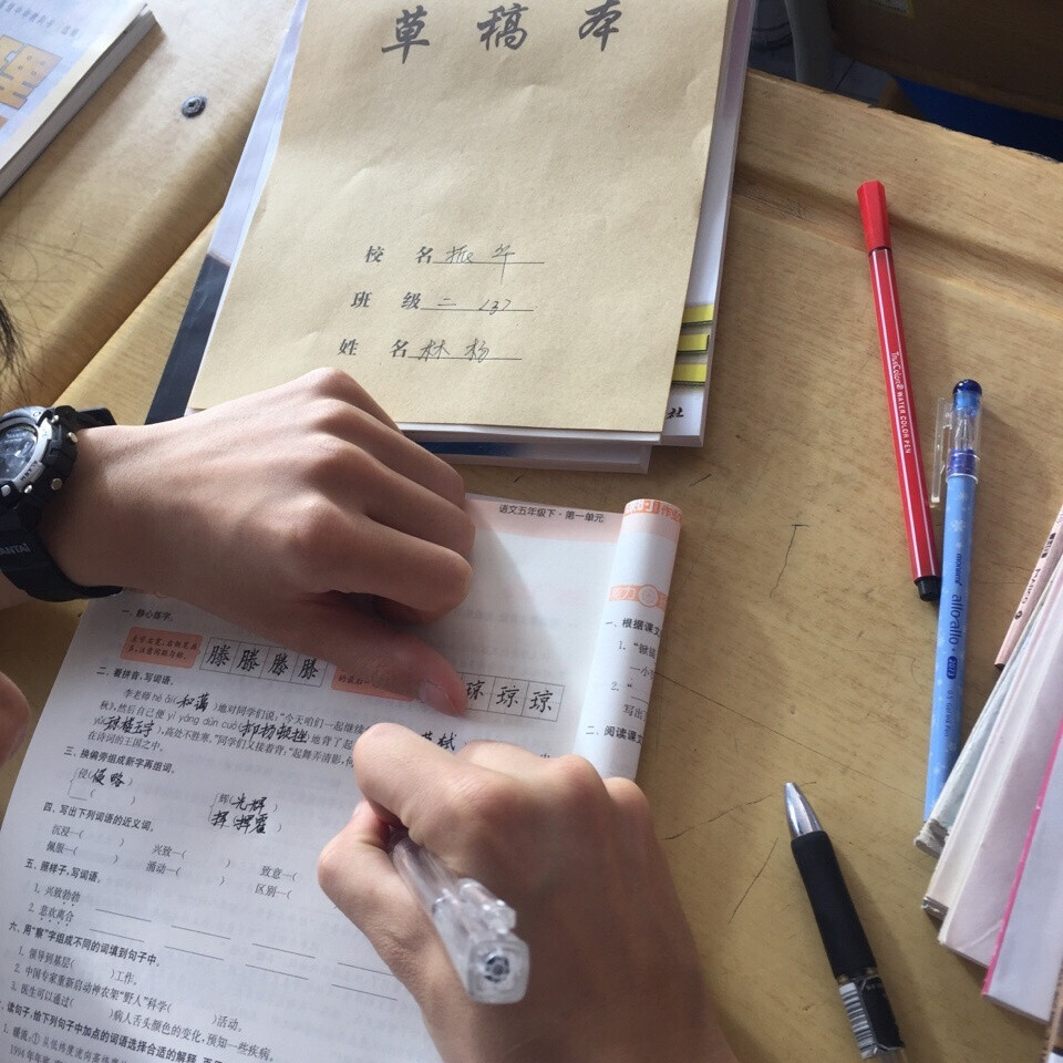 林杨字真好，五年级。。。。振华什么时候有小学部了