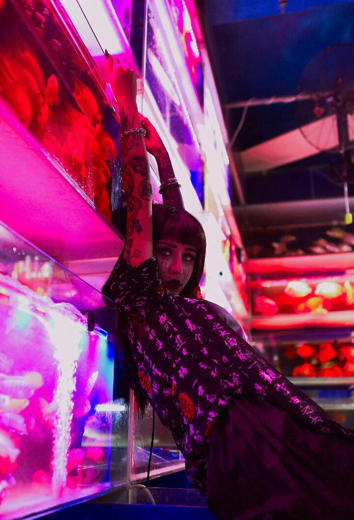 黑暗仙女 高清壁纸