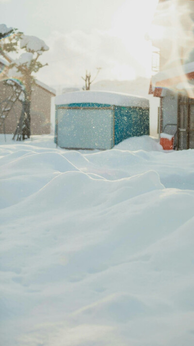 雪原 富良野