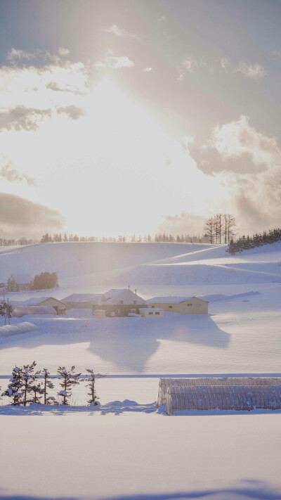 雪原 富良野