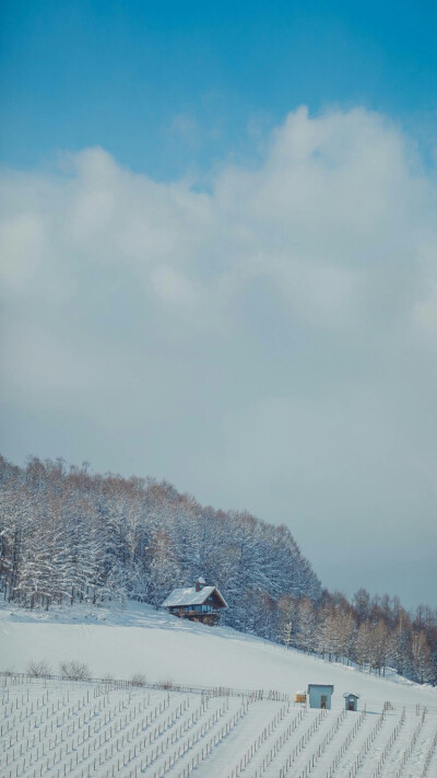 雪原 富良野