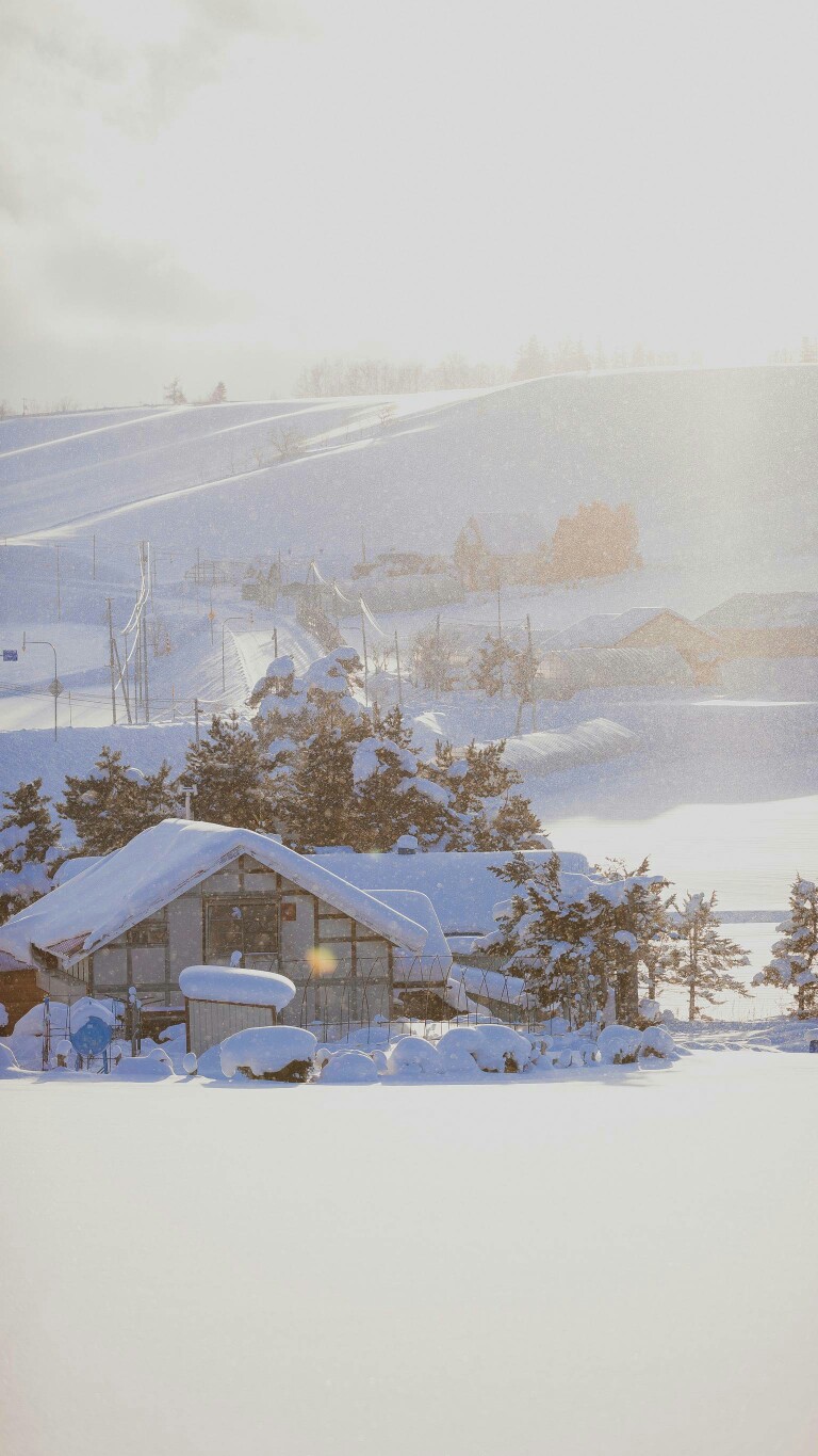 雪原 富良野