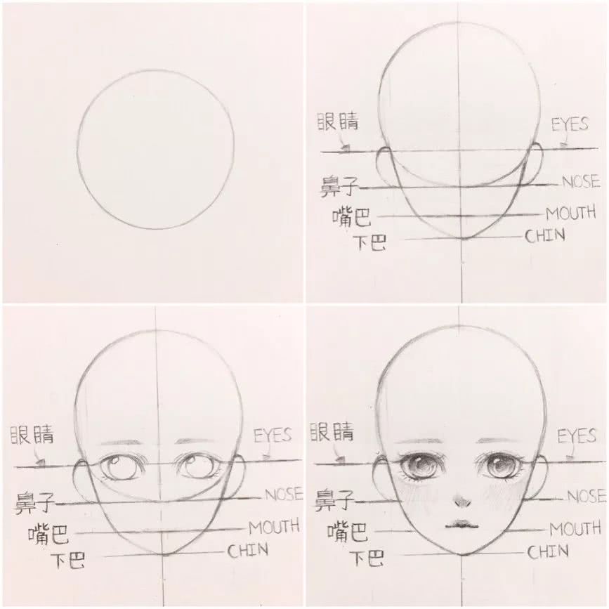 线稿 教程 脸部分布