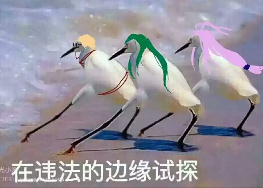 违法的边缘..