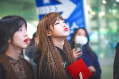 lisa