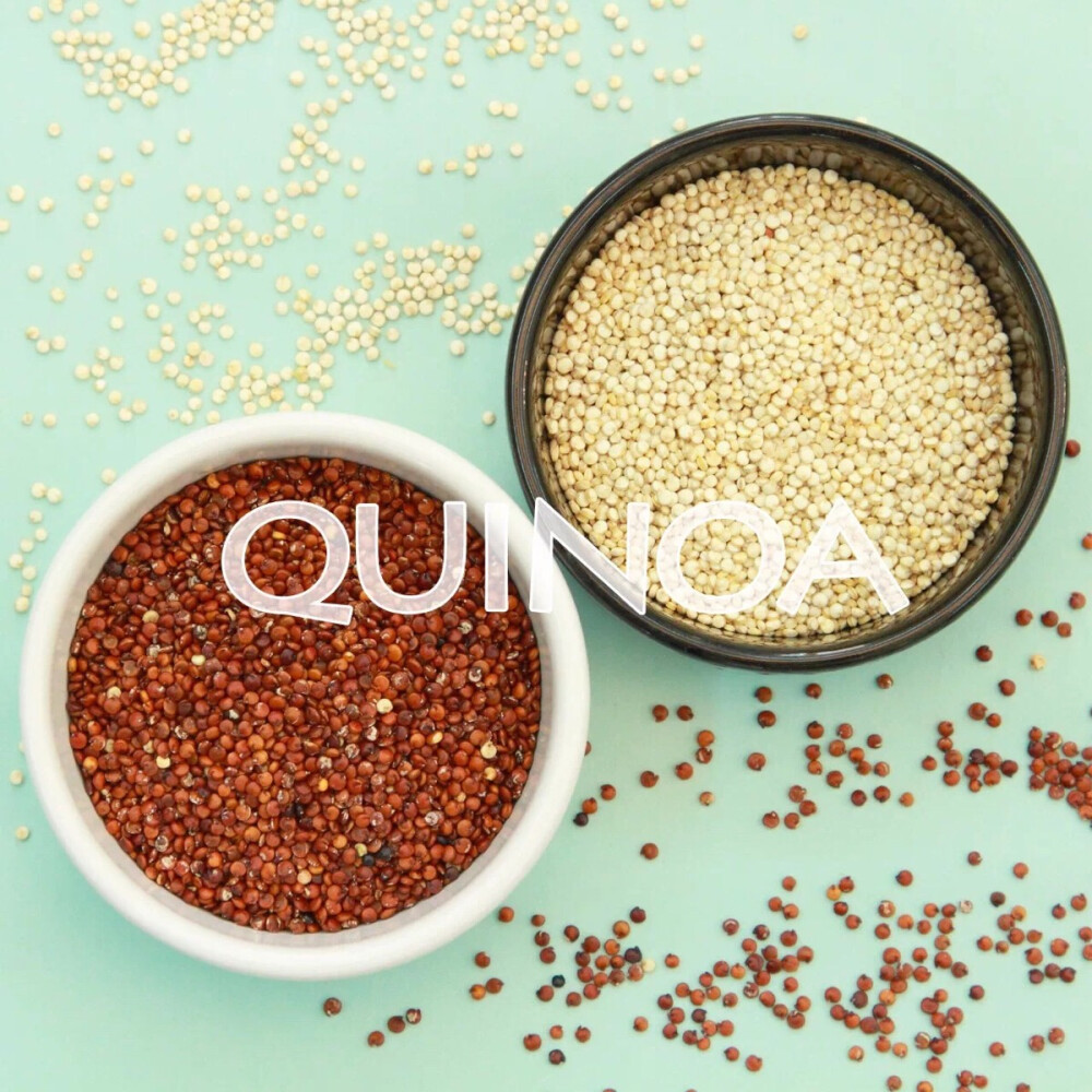 一粒与众不同的藜麦
Quinoa（发音kee-noh-uh or keen-wah）原产于南美洲，像奇亚籽一样，被土著美国人做为一种充满活力的食品。因为它能赋予战士更持久的战斗力。印加人认为藜麦是神圣的食物，并且多年来一直是他们的主食。
藜麦是一个真正的种子，但在烹饪中，它更像一粒粮食。口味上，它有淡淡的坚果味并且质地松脆。它和超级蔬菜——菠菜搭配在一起很美味。
藜麦可能不像燕麦或小麦那样广为人知，但它是一个拥有很多好处的超级食品，建议每星期至少吃1次藜麦主食。