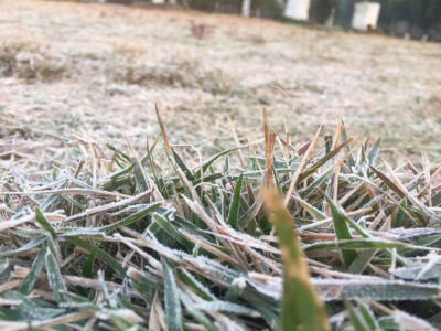 这种冻成冰棍也见不到雪的天气，偶遇一地白霜也不错～