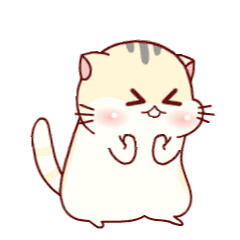 一只乖乖的小喵咪！