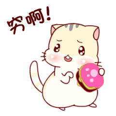 月光光的小猫咪