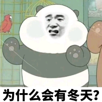 表情包