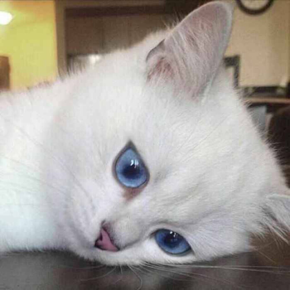 头像搞怪头像1评论4更多所有评论你也来说些什么吧