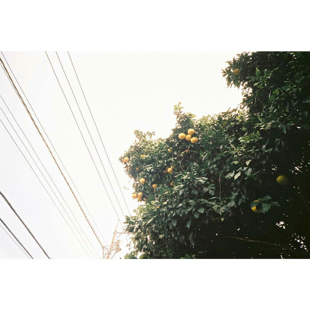 日系 风景 美图 头像 白边
髙雨軒°