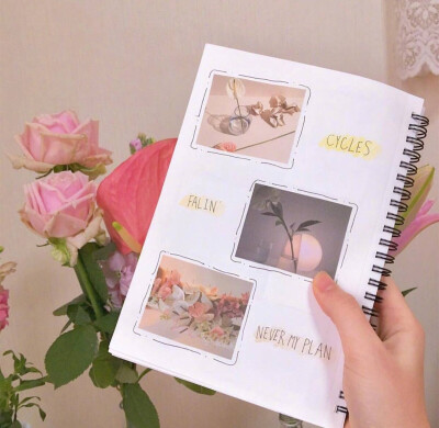 朋友圈背景❤️