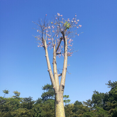 够蓝 够暖 够慵懒