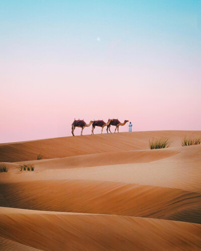 沙漠的广阔，所有烦恼在这里都会烟消云散吧？