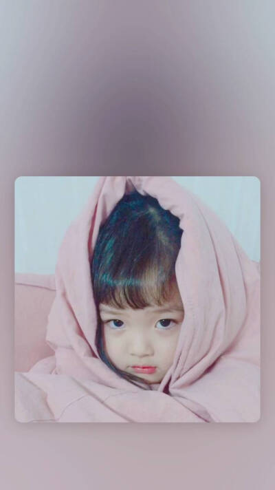 权律二头像壁纸合集，无水印原图，喜欢点赞收藏哦