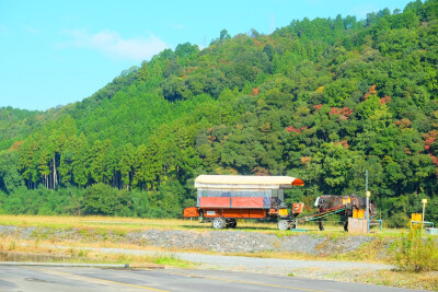 龟岗站前小马车