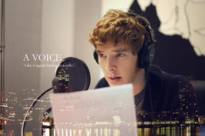 播音的猴子最撩人