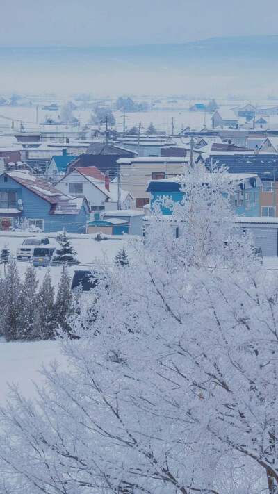 北海道