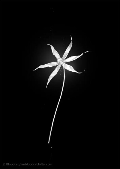 #宝石之国# 安特库 孤独
画师：Bloodcat